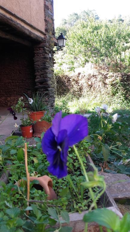 Los Balcones Del Rio Robledillo De Gata Ngoại thất bức ảnh